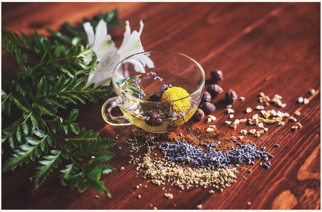 The 411 on Fertility Herbs