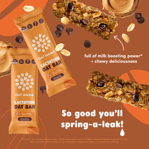 Peanut Butter Chocolate Chip Lactation Oat Bar